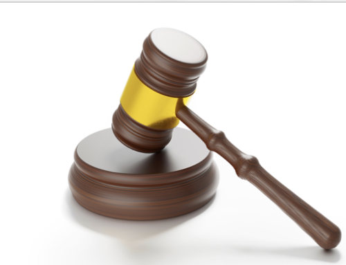 Le conseil d&rsquo;état censure la dgac